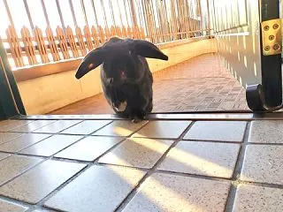 〜 別れの季節 〜