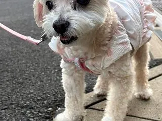 週末のいろいろ