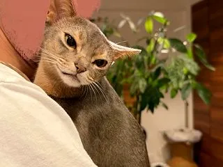 パパ大好きっ子わか坊、出会うたびに熱い抱…