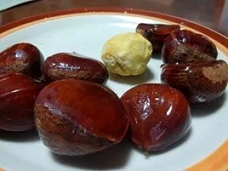 保存