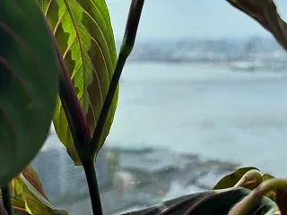 朝いちばんの「うっとり」は！