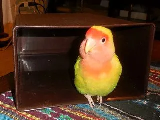 代り映えしないけど(^^♪＆α