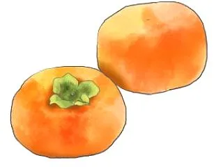 腰痛、過敏性腸症候群、膝痛などでお困りの…