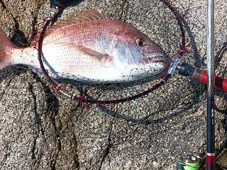 起死回生