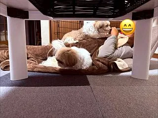 隠し撮り