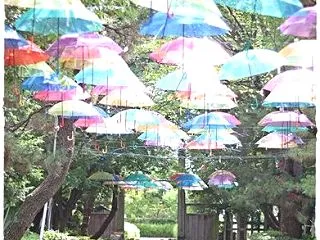 ★キラキラ感は増したけど♪★