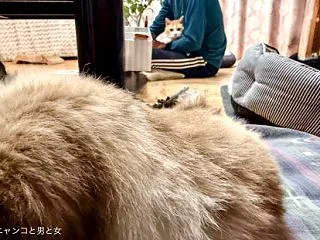 厳しい目