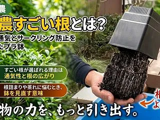 根腐れや根詰まりの悩みを解決！話題のプラ…