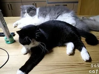 あっという間に大きくなって。。。