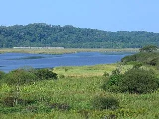 晩夏の馬主来湿原