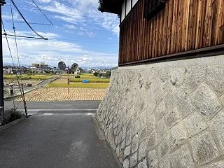 交野市内で稲刈りがはじまってる。刈るタイ…