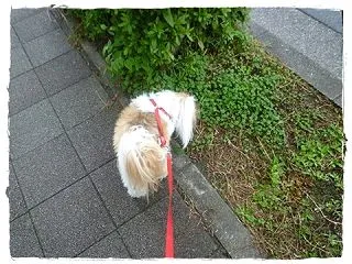 どうなっているんだ!