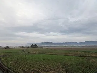 今朝の田園風景