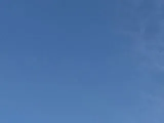 案件きたー！いのちゃんねる