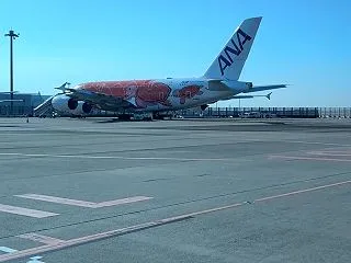 大阪へ飛行機での移動：往路