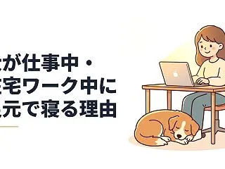 犬が仕事中・在宅ワーク中に足元で寝る理由