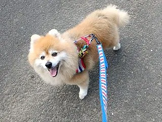吐出対策 六日目！