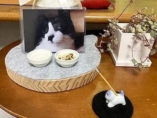 四十九日