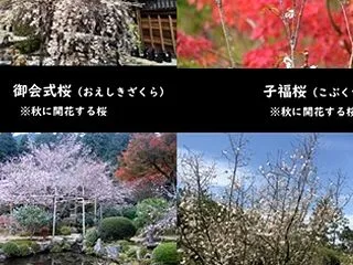 食育クイズ：【Vol.１９５６】「日蓮」…