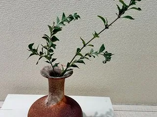 陶芸家の女性に逢いました