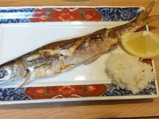 カマスの塩焼きと刺身