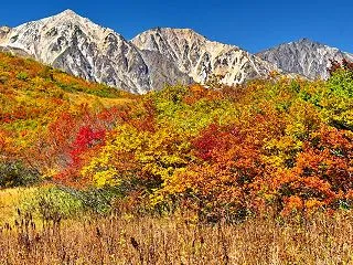 白馬八方･黒菱平にて