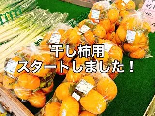干し柿用スタートしました！