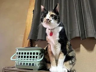 規則正しい生活リズム♬
