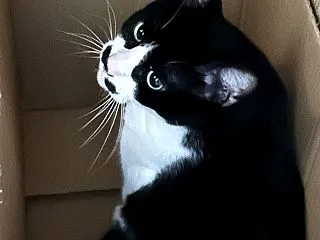 マジでお尻が火事