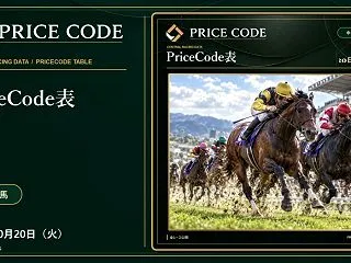 菊花賞 pricecode表からみた過去…