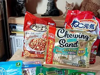 子猫