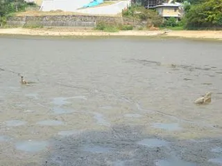 奈良海軍航空隊関係の遺構