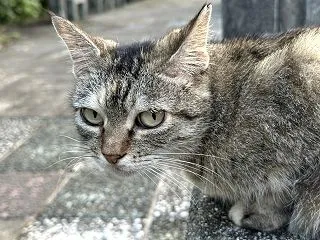 本日のベストスリー１０月１９日