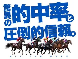 【支持率：８９％】ヒットザマーク