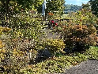 先々週、先週のお仕事10/4〜18