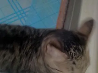 毎日何しに来るの？