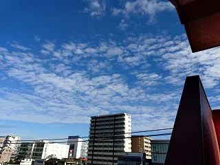 秋天