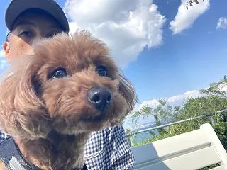 リーマンインテリジェンスの色々スケジュー…
