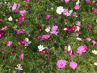 令和8.10.19. 木津川市