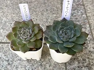 退職後、時間ができて気持ちと行動が変わっ…