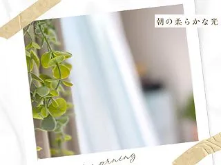 朝の柔らかな光