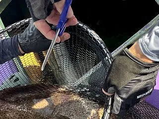 落とし込み釣りの前に、自分を落とし込んだ…