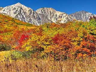 白馬八方･黒菱平にて