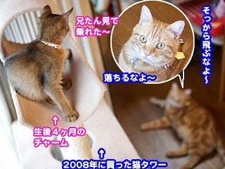 6871.寿命じゃね？