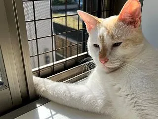 日向ぼっこスポット