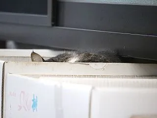 広島市植物公園♪