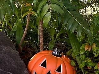 ここのところ打ちのめされていた事とサロン…