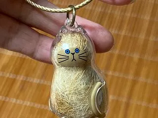 今から巻き返しです