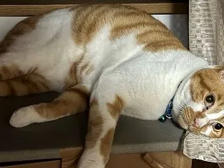 2026.10.19 酒と肴 獲れたての…