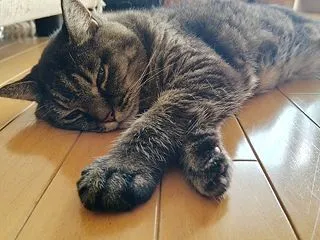 暑いよね～
